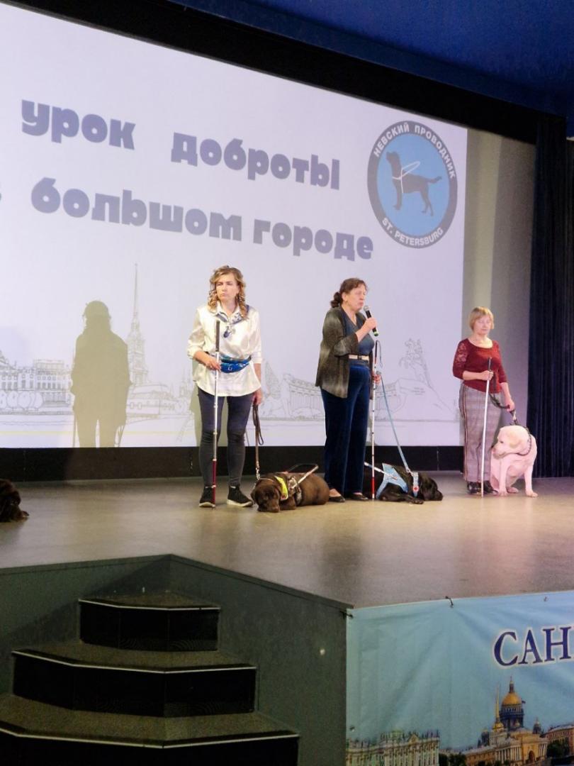 С Международным днем собаки-проводника!